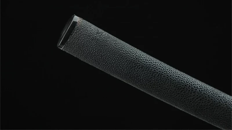 Saya peitetty Ray-nahalla