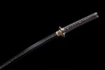 Seimei No Inazuma Katana (生命の稲妻) – Elämän Salama