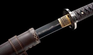 Seimei No Inazuma Katana (生命の稲妻) – Elämän Salama