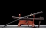 Seimei No Inazuma Katana (生命の稲妻) – Elämän Salama