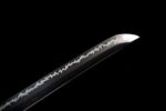 Seimei No Inazuma Katana (生命の稲妻) – Elämän Salama