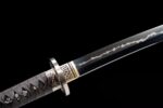 Seimei No Inazuma Katana (生命の稲妻) – Elämän Salama