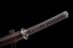 Seimei No Inazuma Katana (生命の稲妻) – Elämän Salama